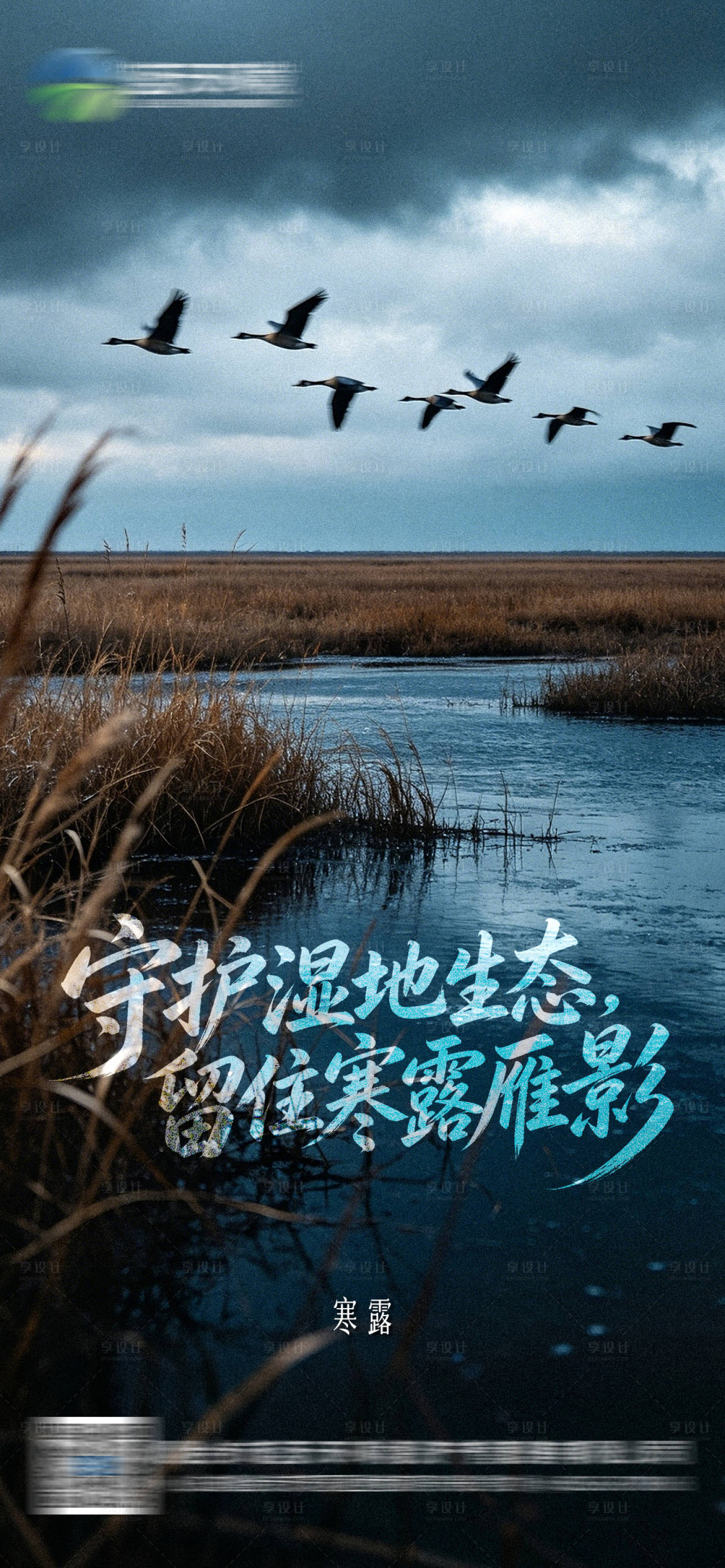 源文件下载【享设计】搜索编号：43360036309238318【寒露环保节气海报】