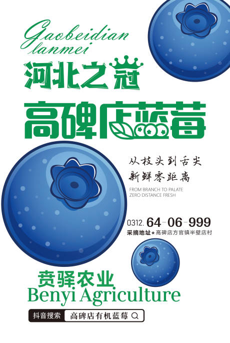 源文件下载【享设计】搜索编号：28470036614426411【蓝莓宣传海报】