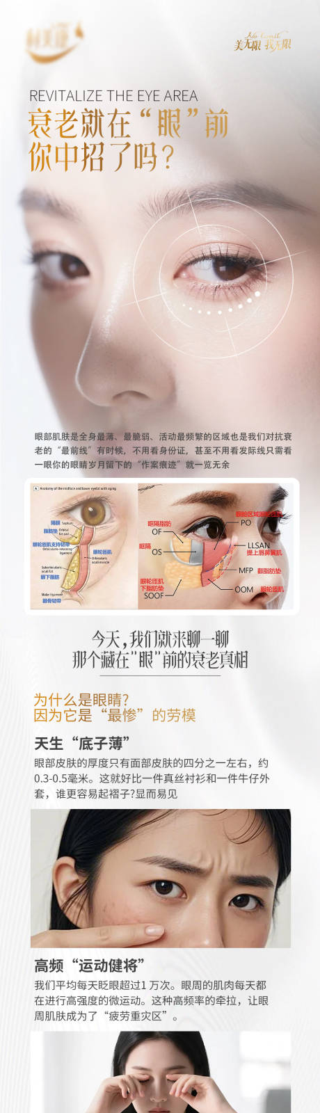 源文件下载【享设计】搜索编号：95290036208222002【眼部抗衰科普】