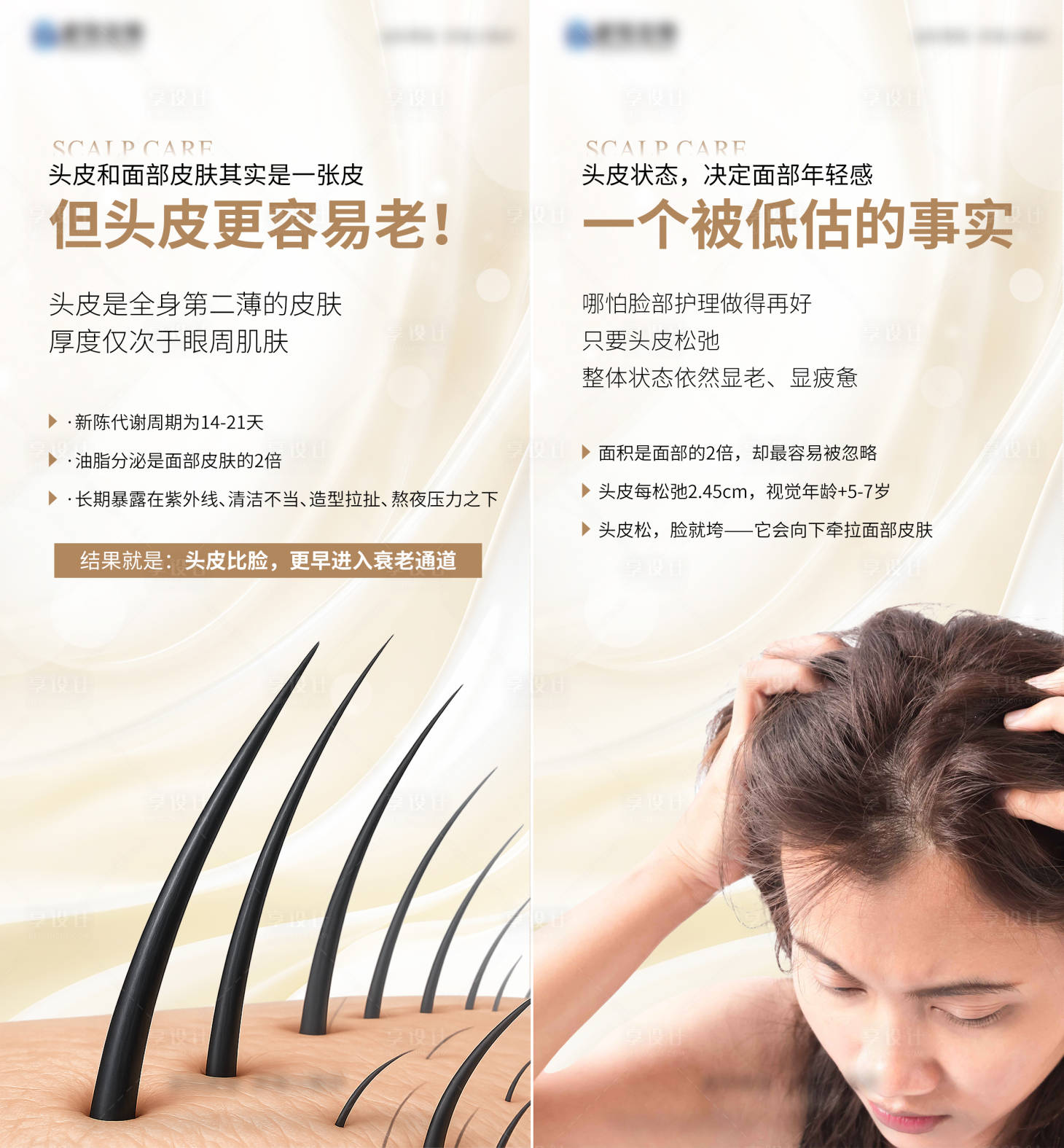 源文件下载【享设计】搜索编号：33200036465952253【头皮脱发科普系列海报】