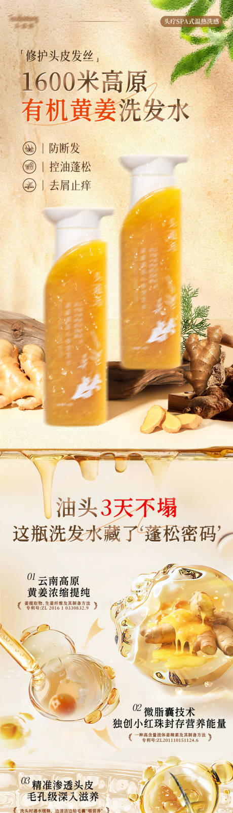源文件下载【享设计】搜索编号：36560036568933924【有机黄姜洗发水详情页】