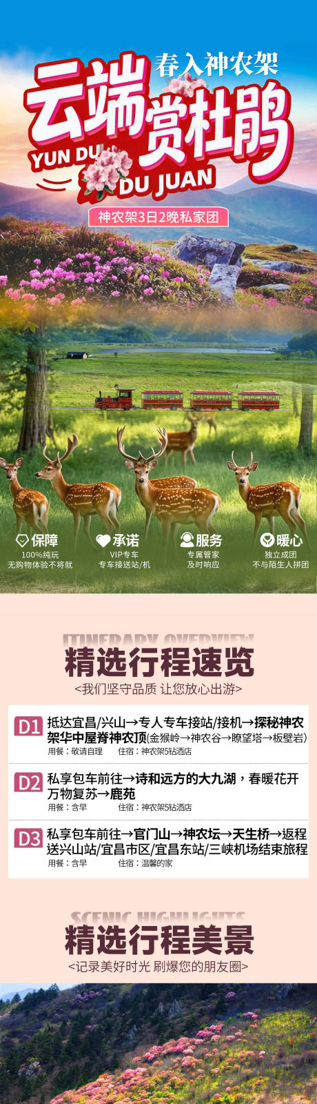 源文件下载【享设计】搜索编号：59640036441428404【神农架云巅赏杜鹃详情页】
