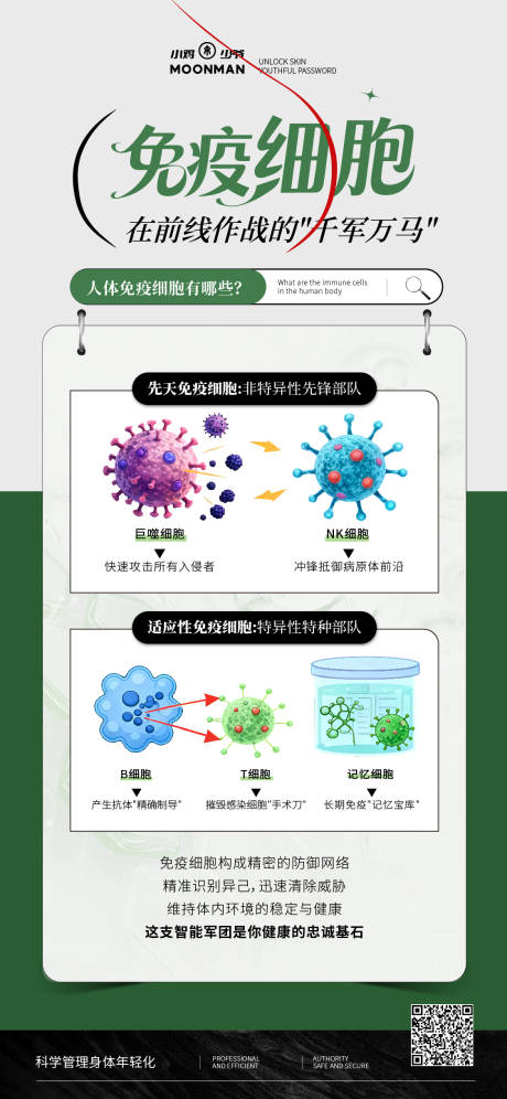 源文件下载【享设计】搜索编号：62120036319875386【免疫细胞科普】