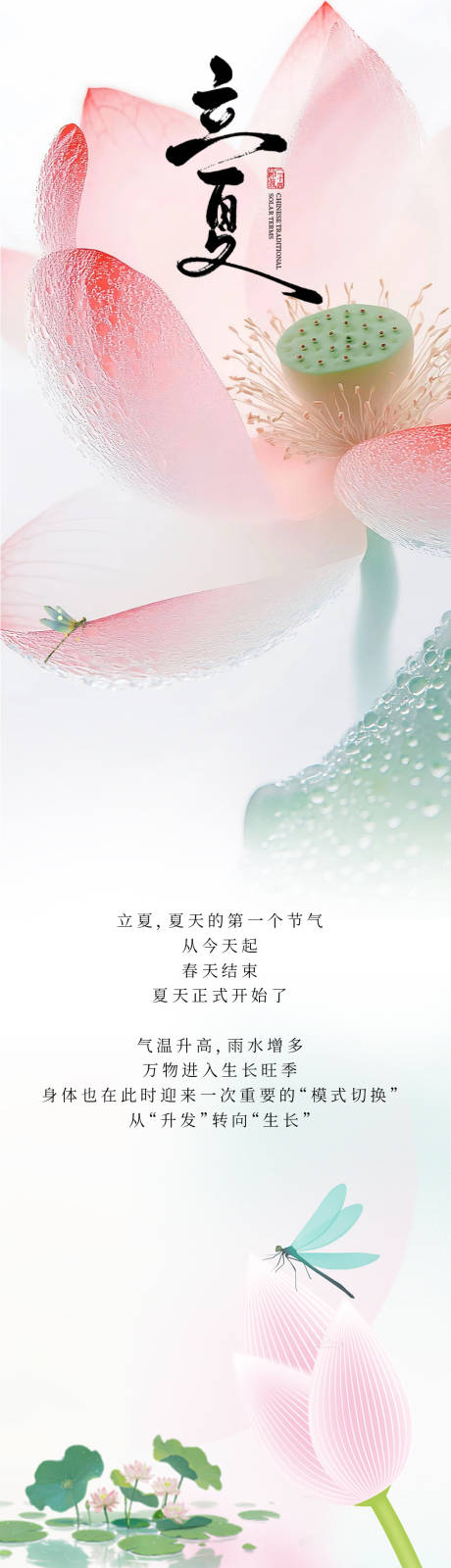源文件下载【享设计】搜索编号：54220036636895260【美业养生立夏通用长图模板公众号推文】