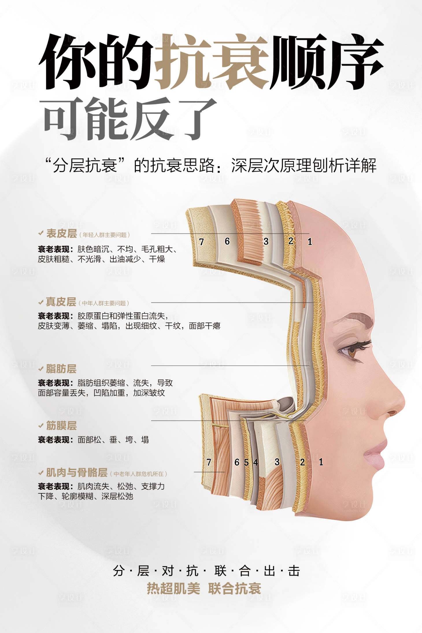 源文件下载【享设计】搜索编号：59180036532217796【分层抗衰顺序科普】