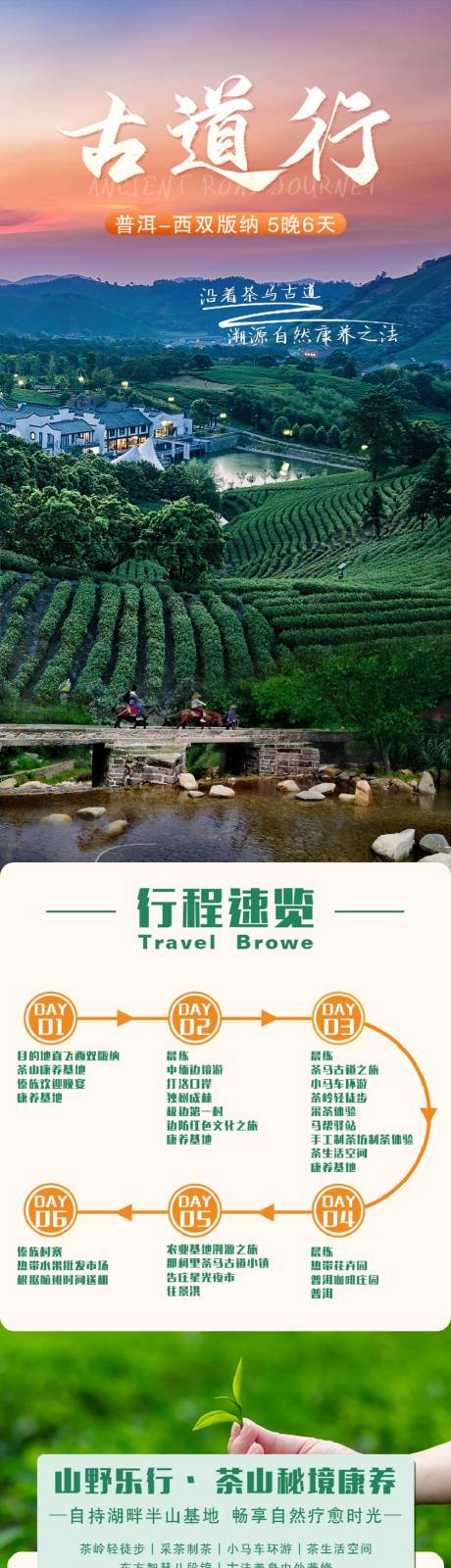源文件下载【享设计】搜索编号：24070036274654705【普洱西双版纳旅游长图】