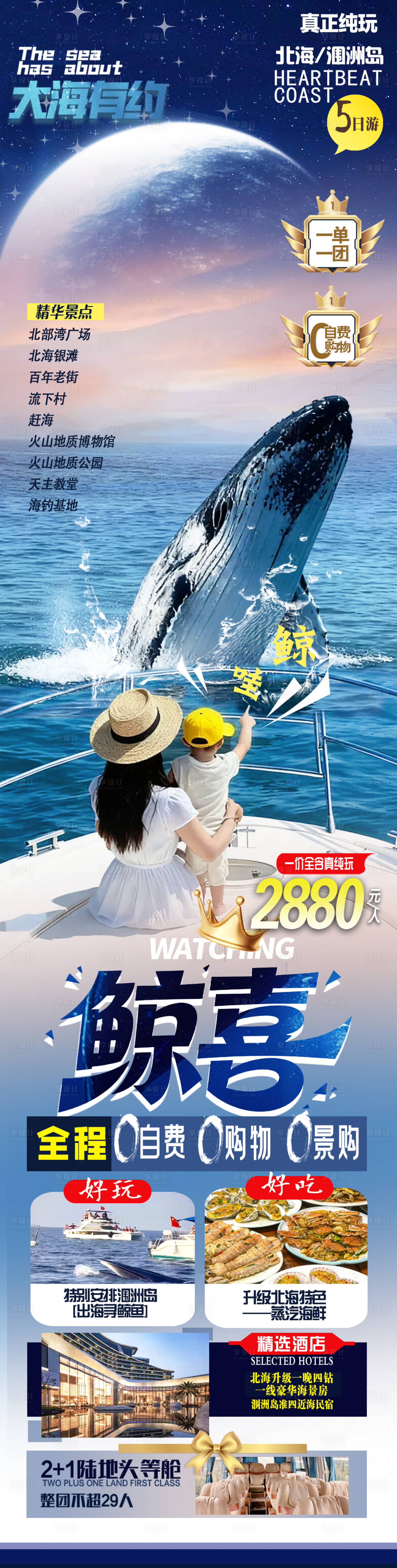 源文件下载【享设计】搜索编号：55620036269397311【鲸喜看鲸鱼旅游海报】