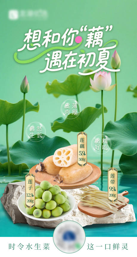 源文件下载【享设计】搜索编号：73550036624858795【夏日绿色时令莲藕美食海报】