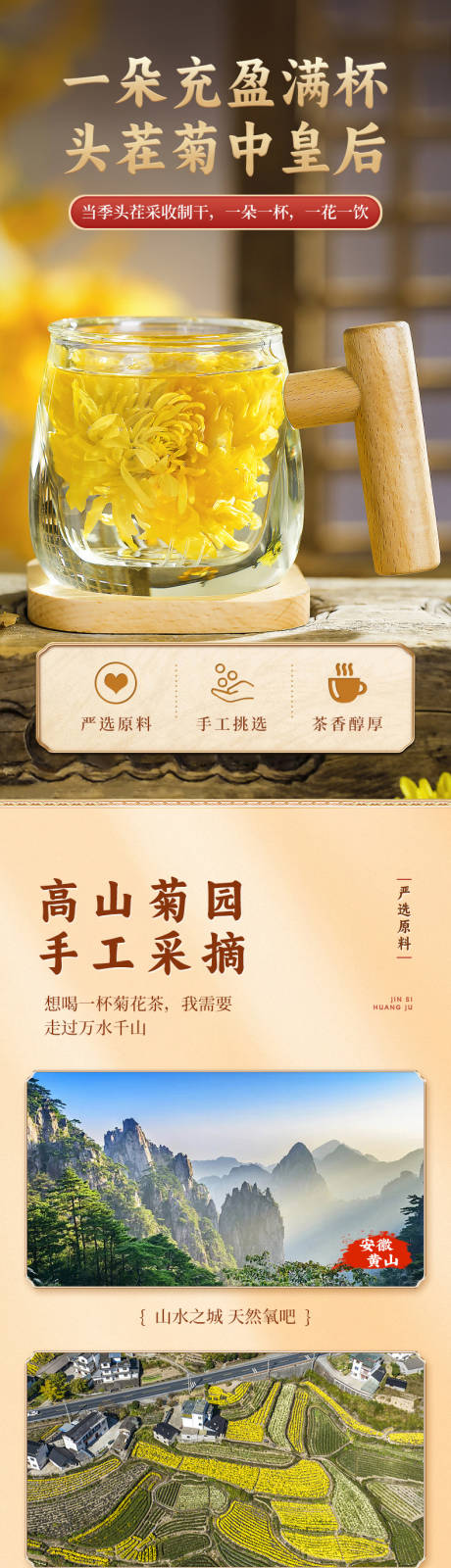 源文件下载【享设计】搜索编号：95150036156552219【金丝皇菊详情】