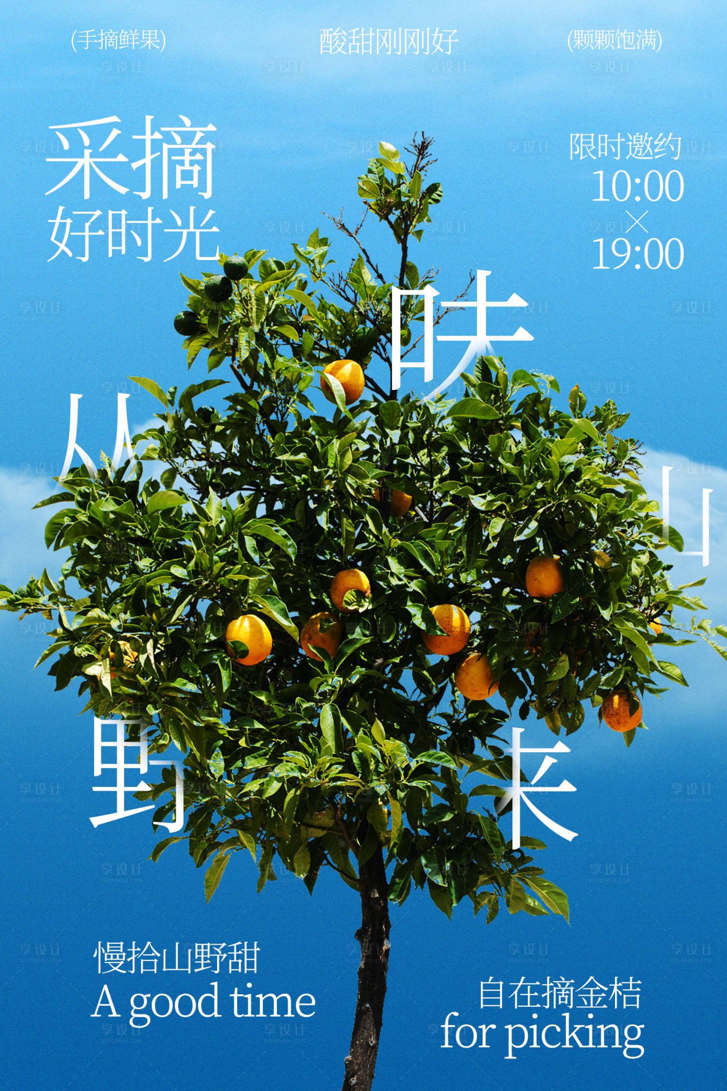 源文件下载【享设计】搜索编号：84100036612785817【田园橘子采摘好时光】