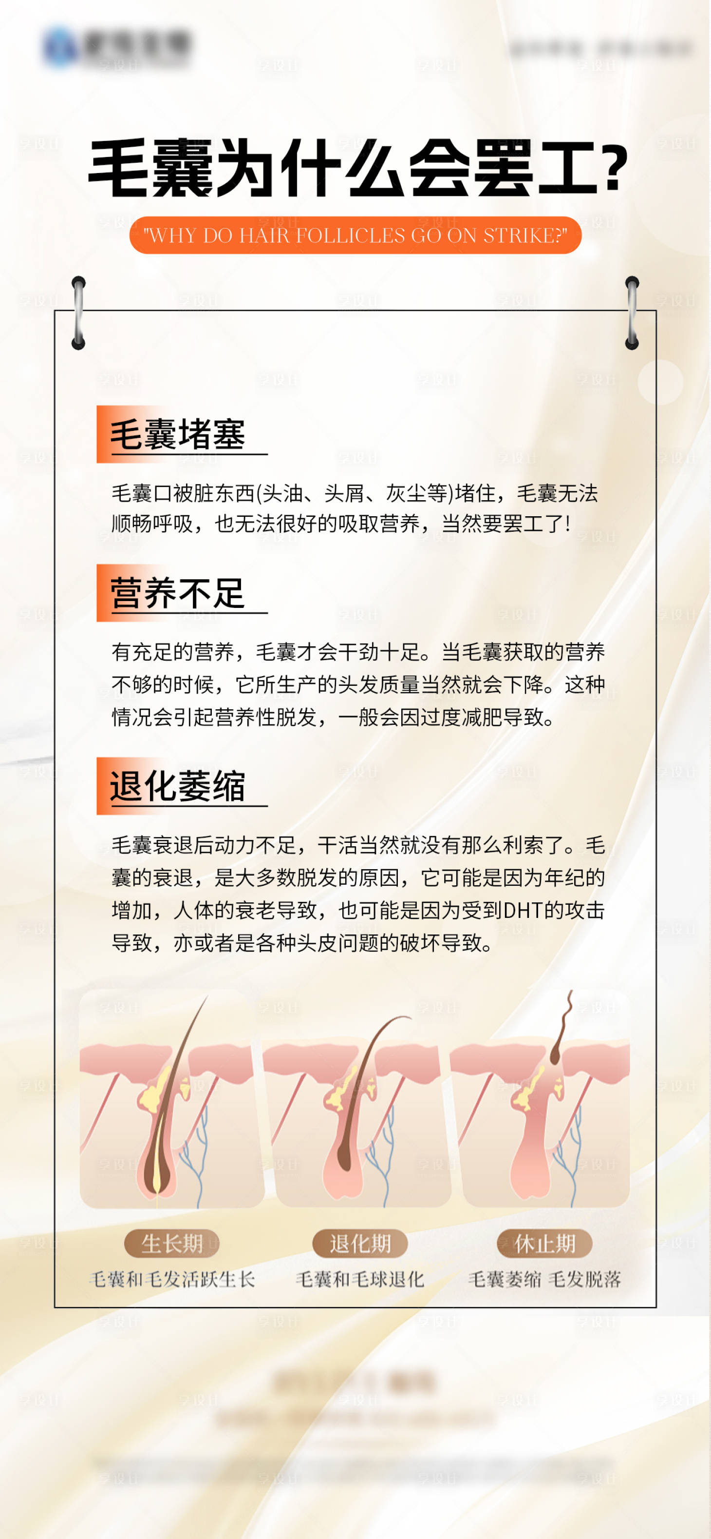 源文件下载【享设计】搜索编号：37700036427747315【毛囊科普 】