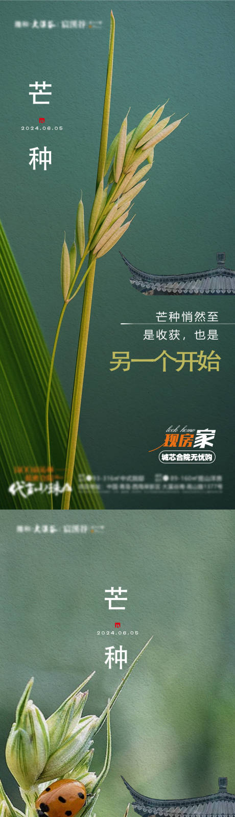 源文件下载【享设计】搜索编号：31070036519318596【芒种节气麦子瓢虫地产豪宅】