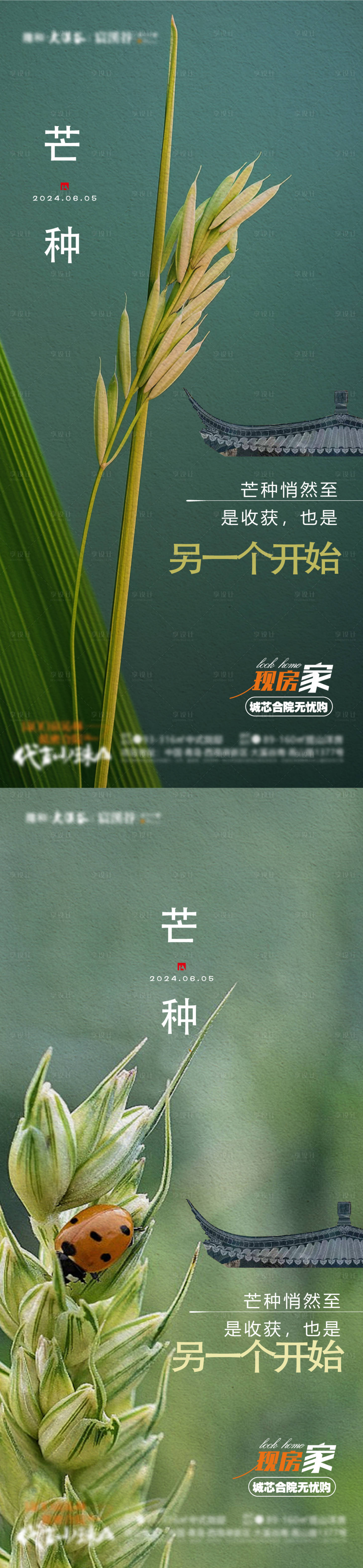 源文件下载【享设计】搜索编号：31070036519318596【芒种节气麦子瓢虫地产豪宅】
