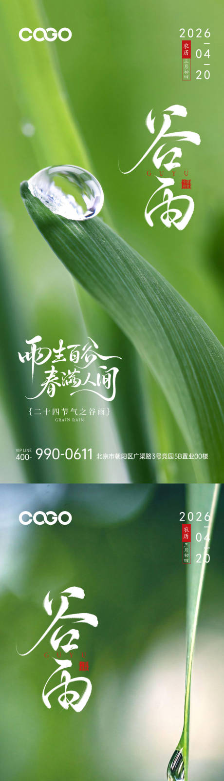 源文件下载【享设计】搜索编号：83290036416436890【谷雨节气海报】