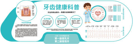 源文件下载【享设计】搜索编号：41510036396136678【牙齿结构生长顺序】