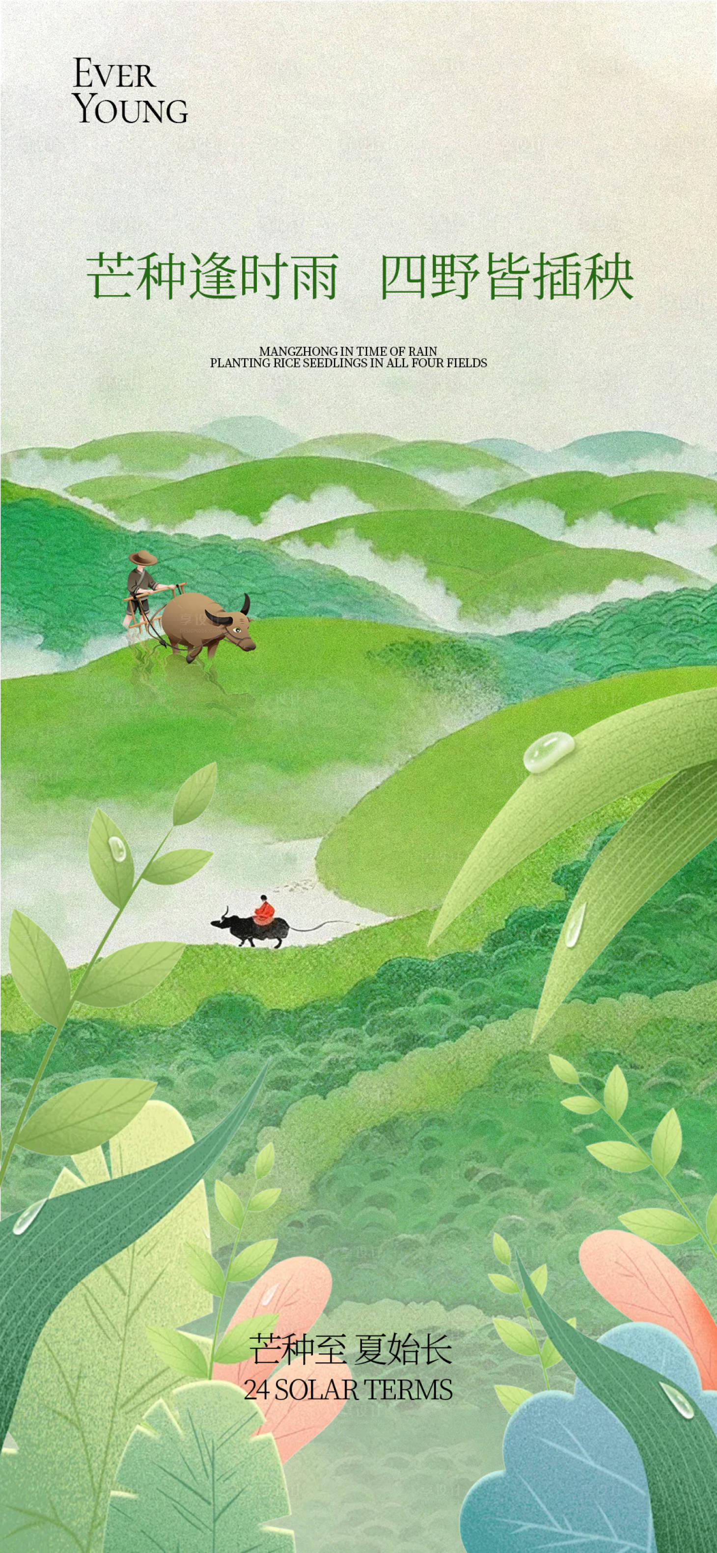 源文件下载【享设计】搜索编号：25060036260676096【24节气芒种海报】