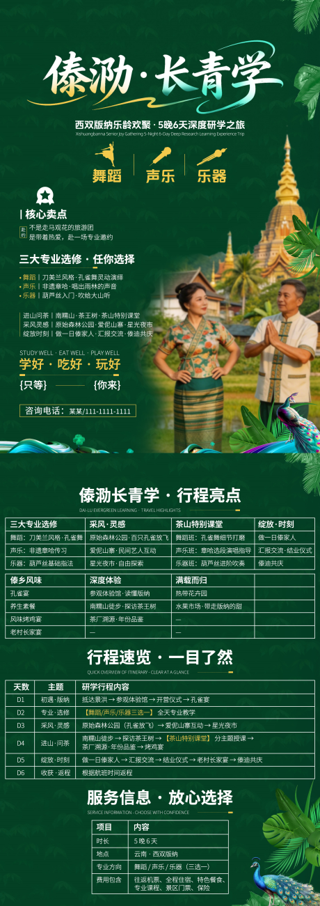 源文件下载【享设计】搜索编号：27750036261994238【西双版纳研学旅游dm单】