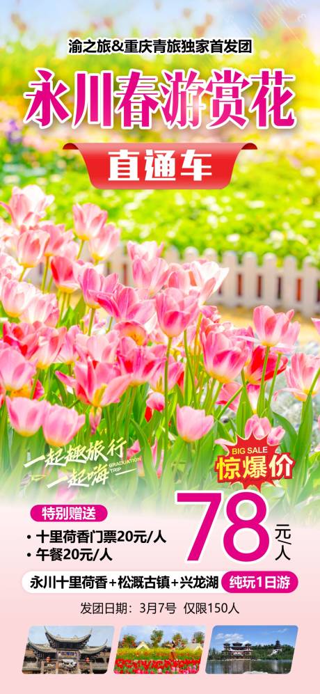 源文件下载【享设计】搜索编号：69150036641299952【永川春游赏花海报】