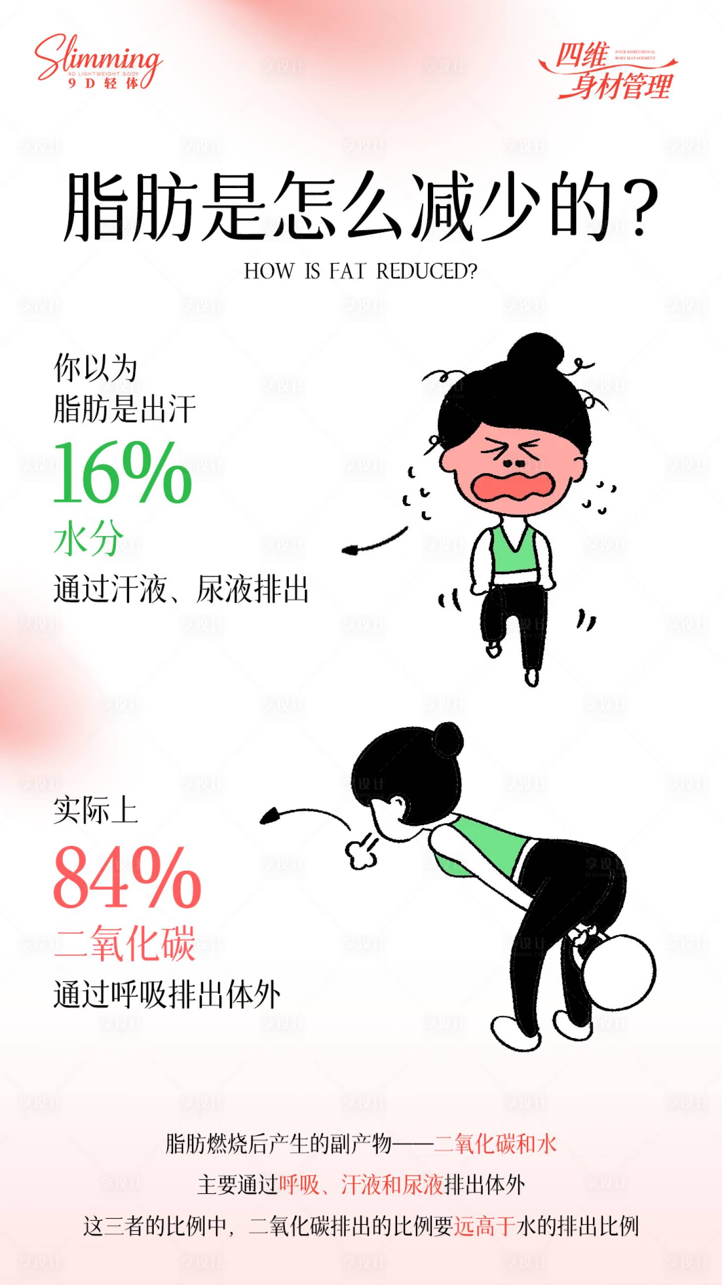 源文件下载【享设计】搜索编号：81910036234599662【减肥科普】