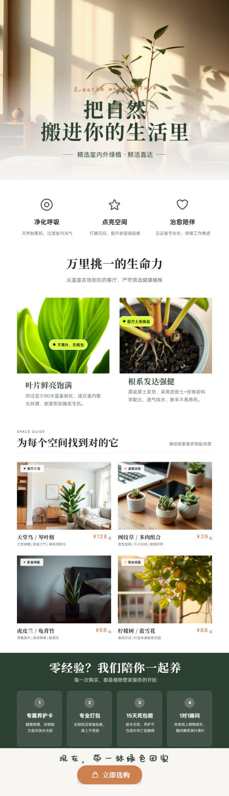 源文件下载【享设计】搜索编号：11280036413222072【室内外盆栽生活方式转化长图海报】
