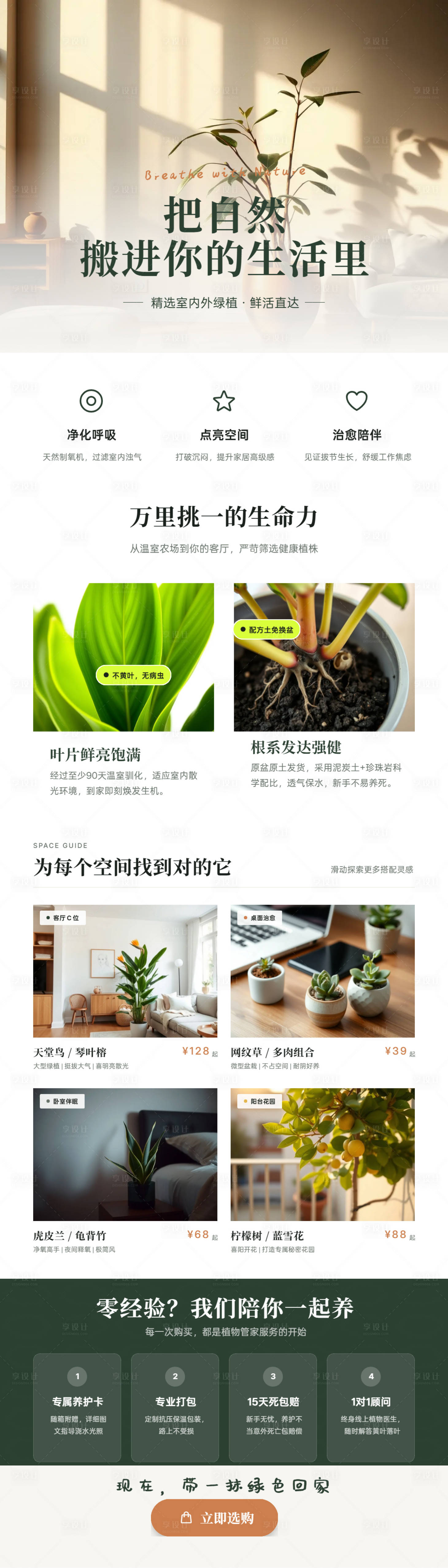 源文件下载【享设计】搜索编号：11280036413222072【室内外盆栽生活方式转化长图海报】