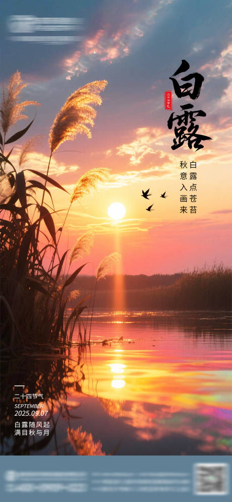 源文件下载【享设计】搜索编号：62850036275827717【白露海报 】