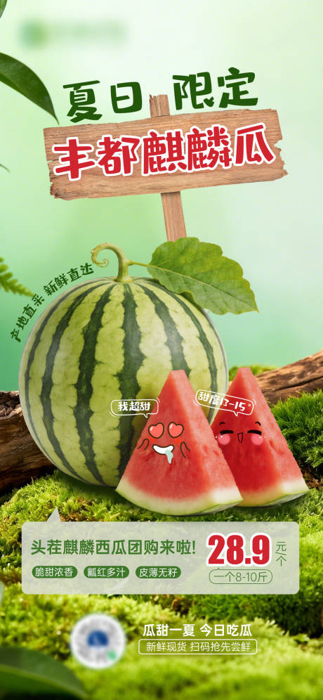 源文件下载【享设计】搜索编号：41310036518755317【西瓜促销生鲜水果海报】