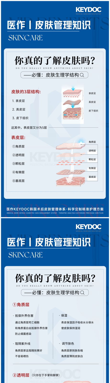 源文件下载【享设计】搜索编号：75030036176047609【美容院皮肤层知识科普】