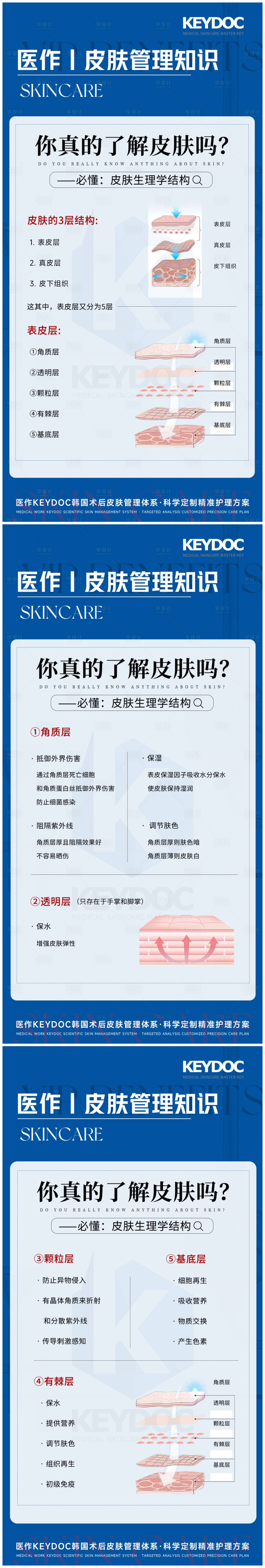 源文件下载【享设计】搜索编号：75030036176047609【美容院皮肤层知识科普】
