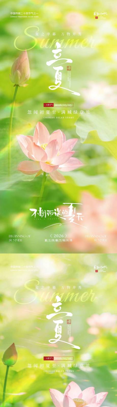 源文件下载【享设计】搜索编号：10920036336652208【立夏节气荷花荷叶清新摄影海报】
