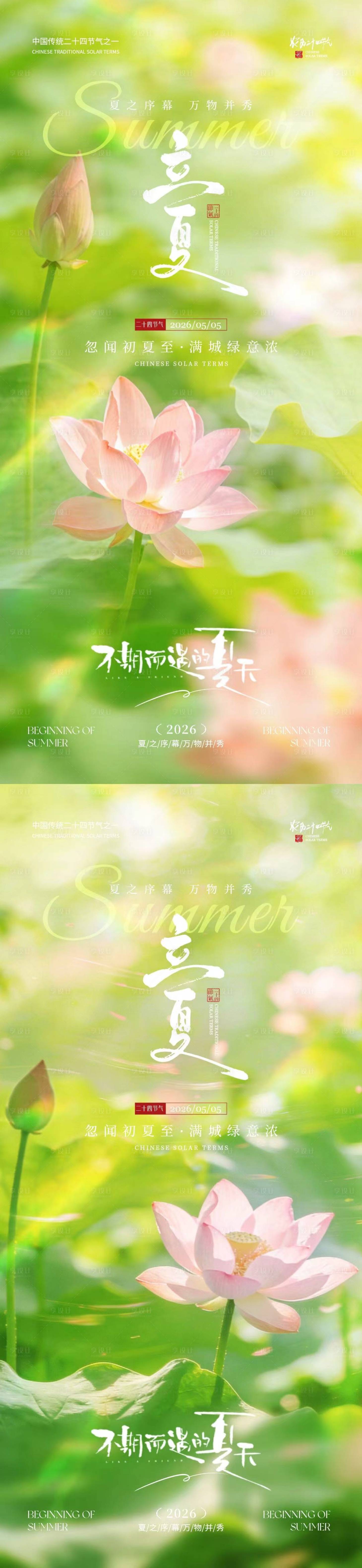 源文件下载【享设计】搜索编号：10920036336652208【立夏节气荷花荷叶清新摄影海报】