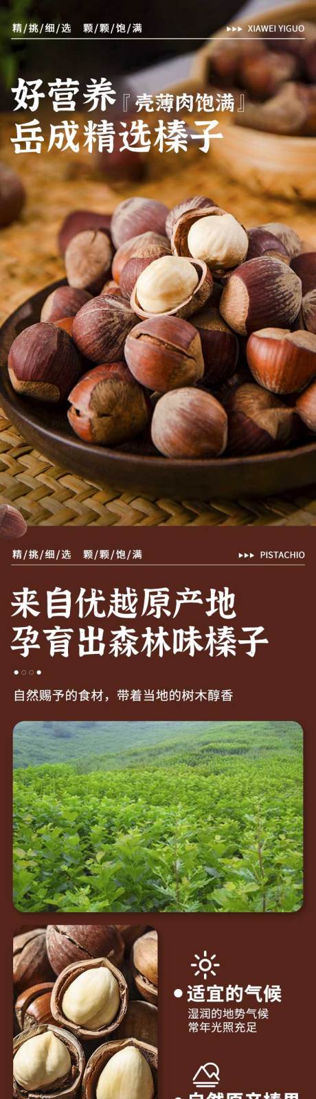 源文件下载【享设计】搜索编号：87090036442775967【榛子详情页】
