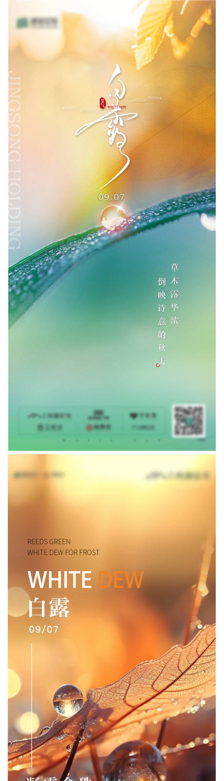 源文件下载【享设计】搜索编号：44830036211979225【白露海报】