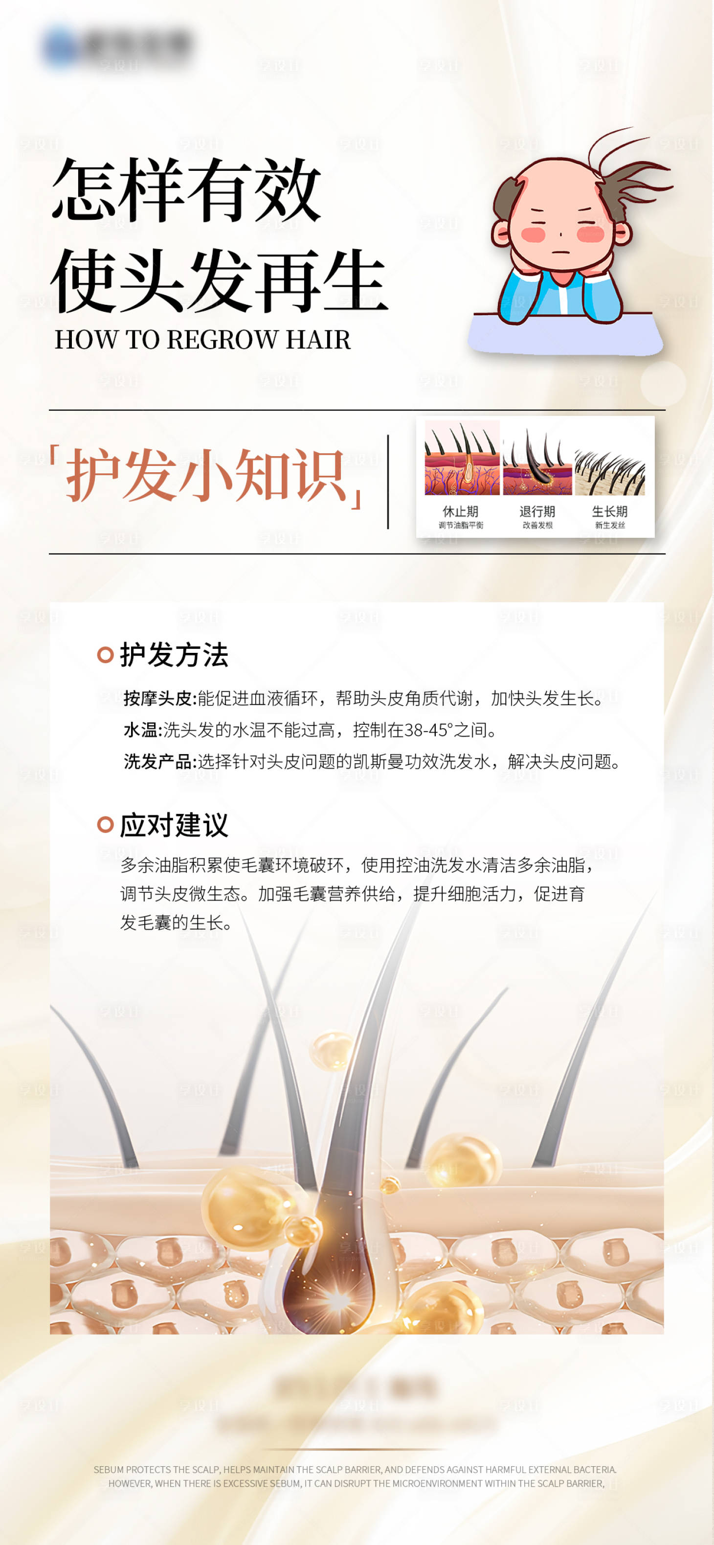 源文件下载【享设计】搜索编号：66610036416134305【头发再生头皮科普护发知识 】