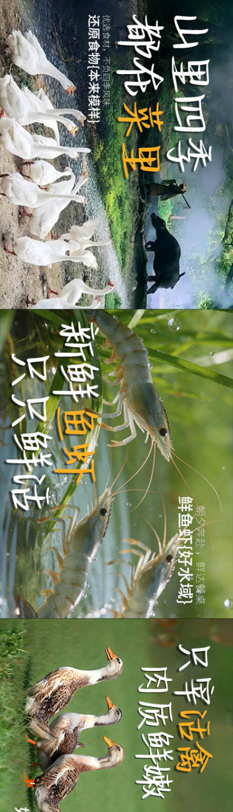 源文件下载【享设计】搜索编号：56980036682697062【餐饮美食食材五连图长图海报】