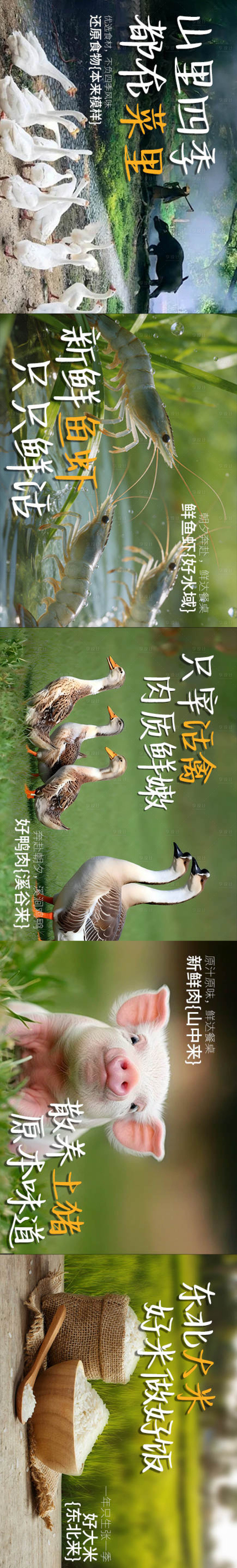 源文件下载【享设计】搜索编号：56980036682697062【餐饮美食食材五连图长图海报】