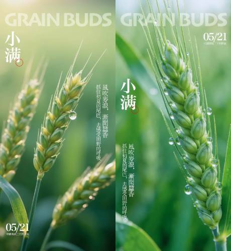 源文件下载【享设计】搜索编号：55960036703321614【小满节气海报】
