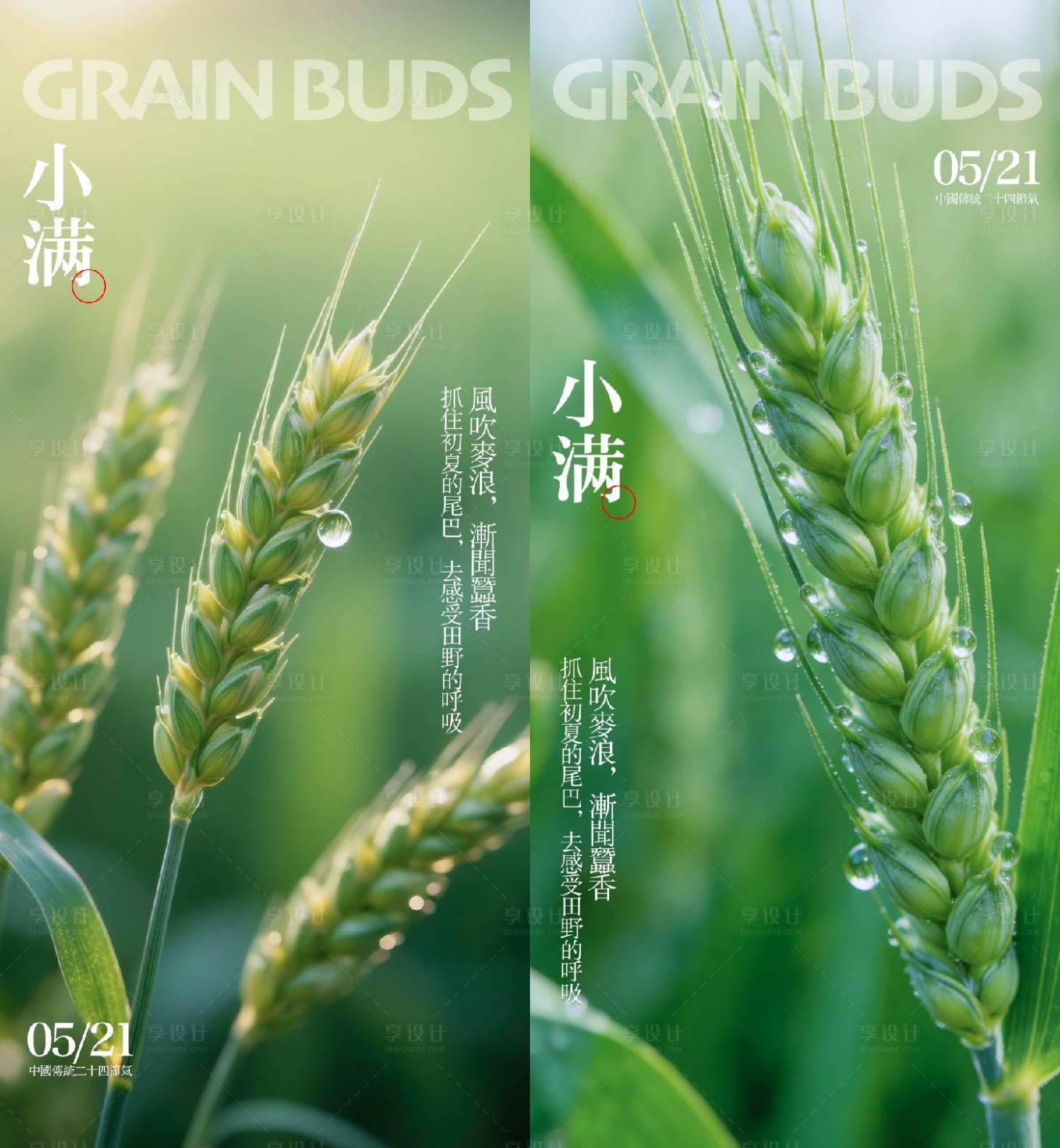 源文件下载【享设计】搜索编号：55960036703321614【小满节气海报】