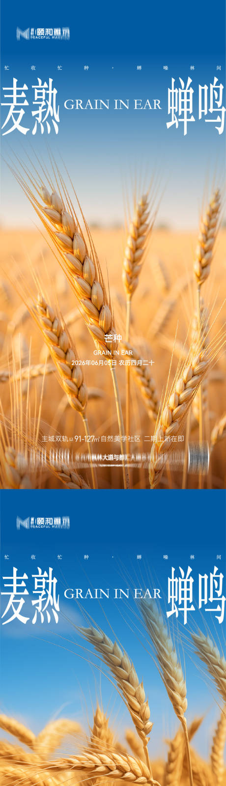 源文件下载【享设计】搜索编号：84100036967893453【芒种二十四节气节日海报麦芒麦田】