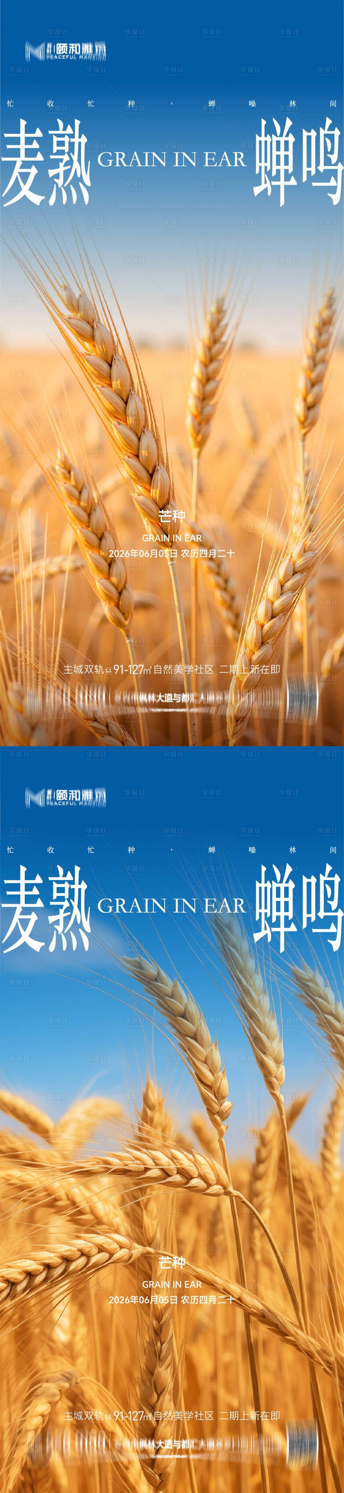 源文件下载【享设计】搜索编号：84100036967893453【芒种二十四节气节日海报麦芒麦田】