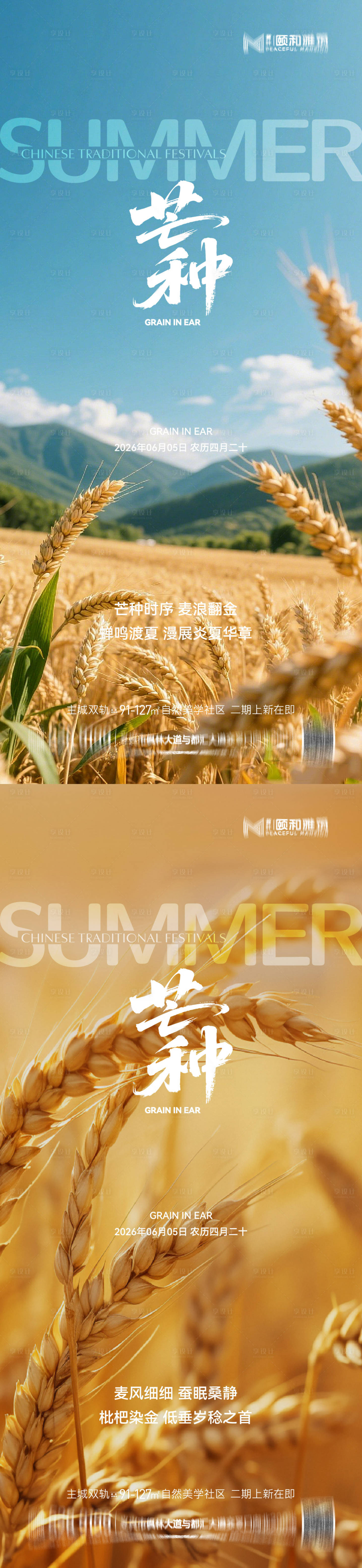 源文件下载【享设计】搜索编号：62400036968046747【芒种二十四节气节日海报麦芒麦田】