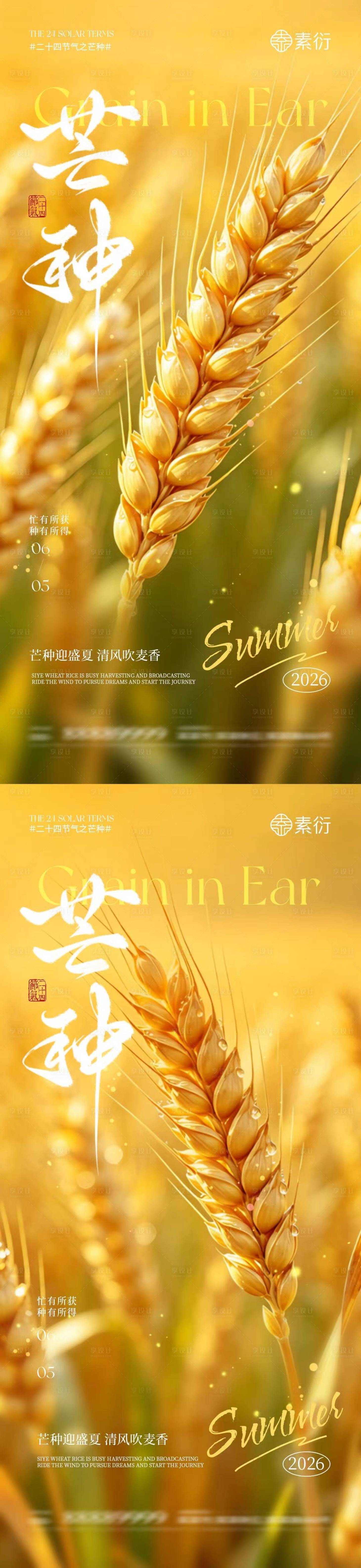 源文件下载【享设计】搜索编号：74050036992589171【芒种节气简约摄影海报】