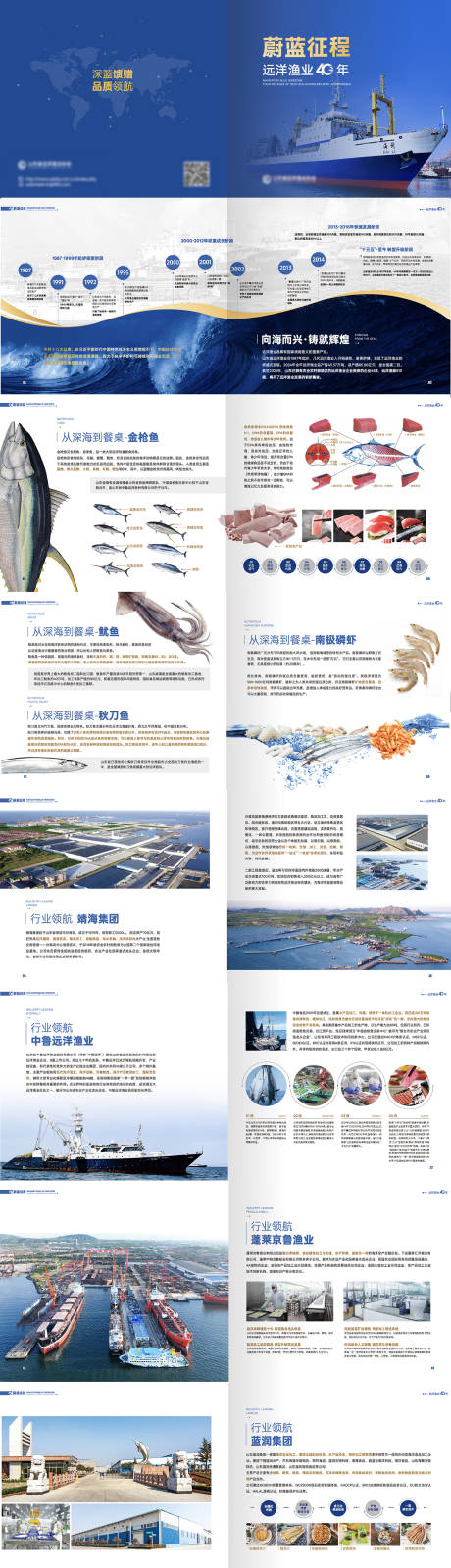 源文件下载【享设计】搜索编号：99790036748689238【远洋渔业集团画册】