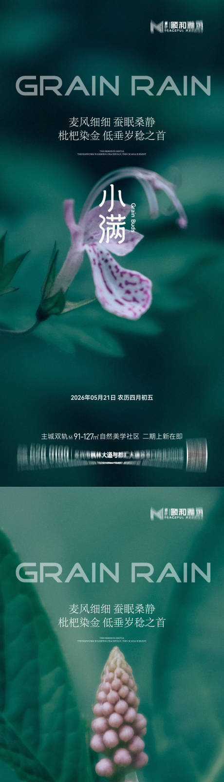 源文件下载【享设计】搜索编号：53530036867612001【小满二十四节气节日海报2026】