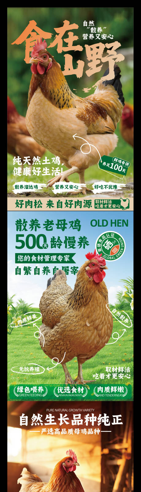 源文件下载【享设计】搜索编号：90360036669038854【赣南美食散养土鸡系列海报】