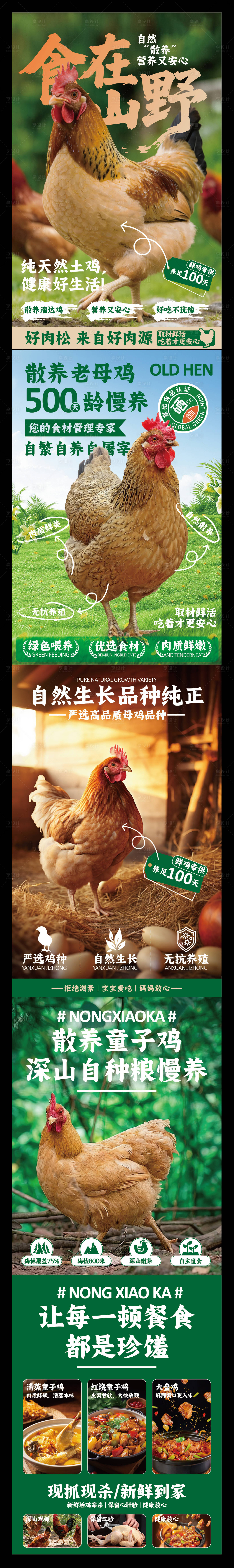 源文件下载【享设计】搜索编号：90360036669038854【赣南美食散养土鸡系列海报】