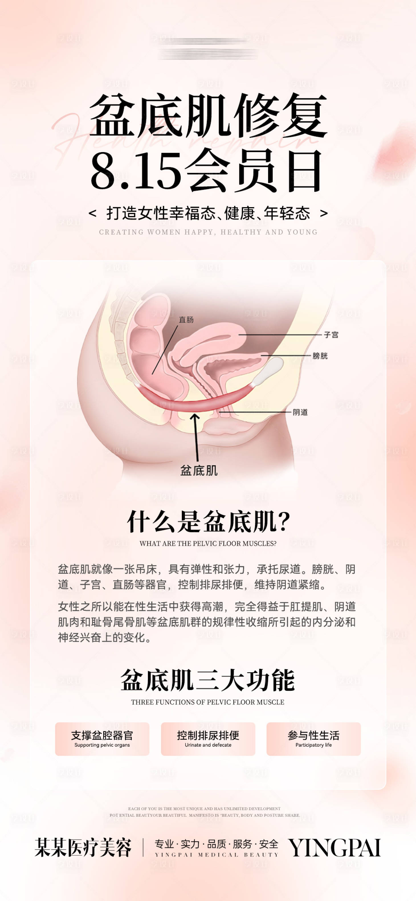 源文件下载【享设计】搜索编号：84040036792713642【盆底肌科普】