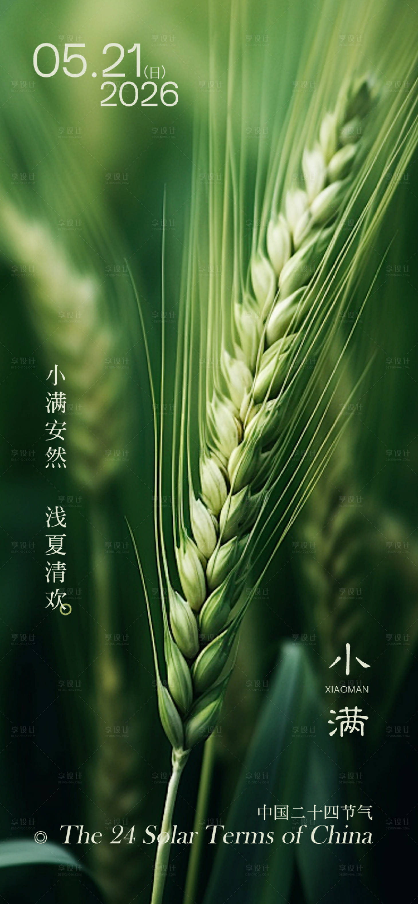 源文件下载【享设计】搜索编号：66040036854822191【小满海报】