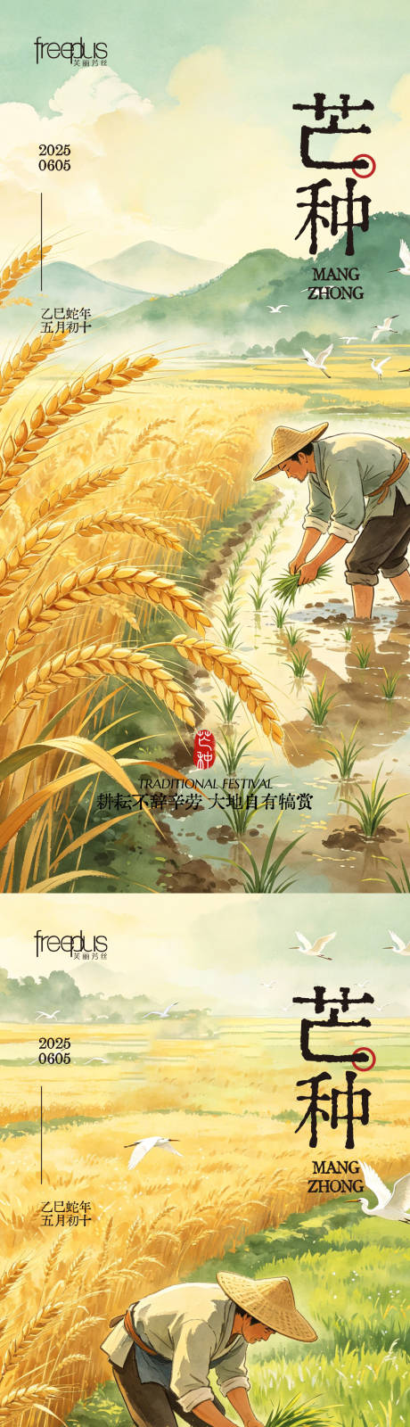 源文件下载【享设计】搜索编号：25070036795569431【芒种海报芒种节气海报芒种】