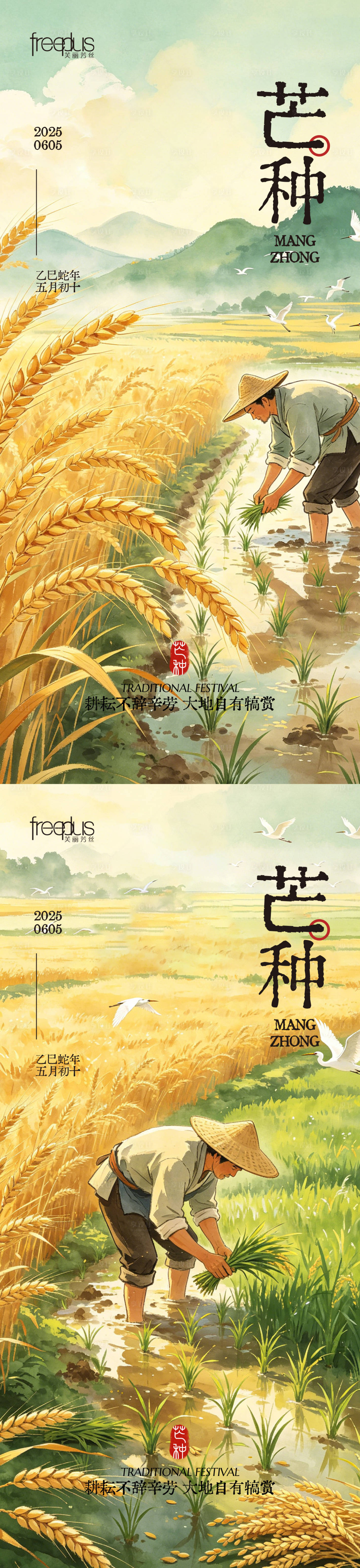 源文件下载【享设计】搜索编号：25070036795569431【芒种海报芒种节气海报芒种】